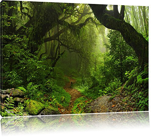 Pixxprint Mystischer Regenwald, Größe: 120x80cm, Leinwandbild, fertig gespannt, Wandbild, Dekoration, Kunstdruck, kein Poster