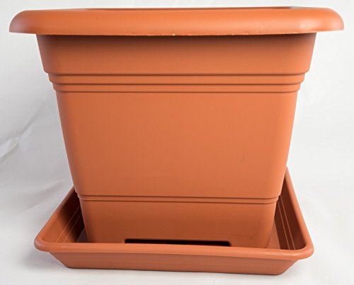 Pflanzkübel NORA 28 cm mit passendem Untersetzer NORA Terracotta