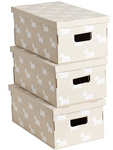 Kanguru HUNDCHEN Aufbewahrungsboxen aus Karton, Geschenkboxen aus pappe mit Deckel, FSC-Zertifiziertem Papier 100% recycelbar, BEIGE, 1 Meters, 3, 29x51x20cm