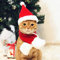 Namsan Katzen-Weihnachtsmütze Mit Schalldämpfer Hündchen Weihnachtsmütze, Rot -S