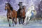 Pferde - Langrish, Running - Natur Poster Foto Pferde - Grösse 91,5x61 cm
