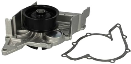 Hepu P539 Wasserpumpe