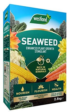 Westland Seaweed Enhanced Plant Growth Stimulant, 2.5 kg