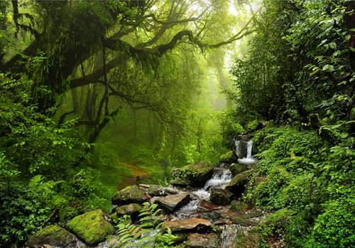 LYSCO XXL Poster 100 x 70cm (S-832) grüner Dschungel Urwald mit Bachlauf über Steine fliessendes Wasser grüne Bäume (Lieferung gerollt!)