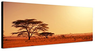 Augenblicke Wandbilder Keilrahmenbild Wandbild 150x50cm Afrika Namibia Baum Abendstimmung