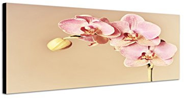 Augenblicke Wandbilder Keilrahmenbild Wandbild 150x50cm Orchidee Blüten
