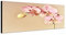 Augenblicke Wandbilder Keilrahmenbild Wandbild 150x50cm Orchidee Blüten