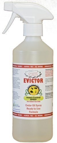 Evictor Cedar Oil Insect Control Spray 500ml