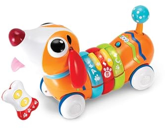 WinFun 7301142 Activity and Remote Control, Orange (CPA Toy Group)