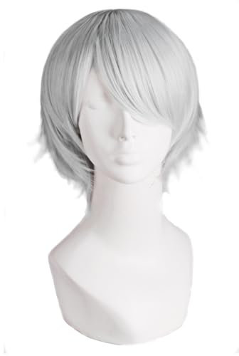 MapofBeauty Cosplay Kostüm Männer kurze gerade Perücke (silbergrau)