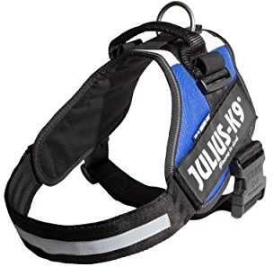 Julius-K9, Arnés IDC Power, Tamaño: 3XL / 4, Bandera Francesa