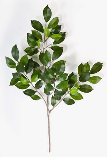 artplants.de Künstlicher Ficuszweig AJITH, 60 grüne Blätter, 45cm - Kunst Ficus - Deko Zweig