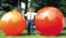 Megaball 180 cm von GYMNIC