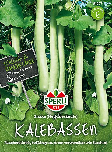 Kürbis, Herkuleskeule - Flaschenkürbis