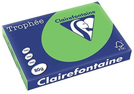 Clairefontaine 1885C - Ries Druckerpapier / Kopierpapier Trophee, intensive Farben, DIN A3, 80g, 500 Blatt, Minze, 1 Ries