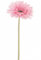 Kunstblume mit Extragroßer Seidenblüte, Gerbera, mit Stängel, Künstliche Blumen in vielen Farben von Homestreet® rose
