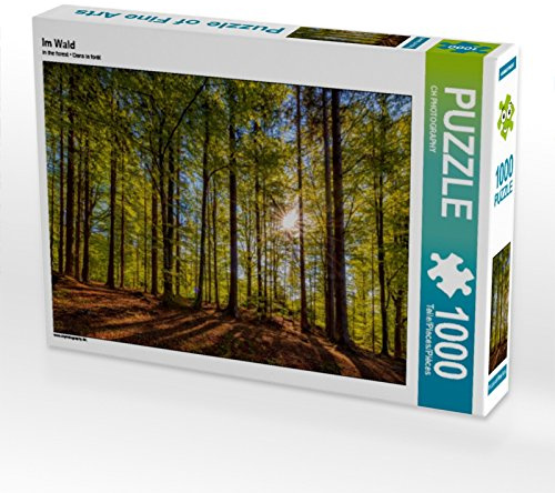 CALVENDO Puzzle Im Wald | 1000 Teile Lege-Größe 64 x 48 cm Foto-Puzzle für glückliche Stunden
