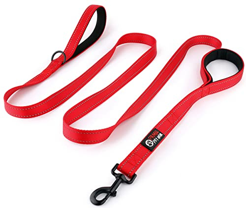 Primal Pet Gear Hundeleine, 2,4 m lang, rot, mit gepolstertem 2 Griffen, robust, doppelte Griffe, Leine für Kontrolle und Sicherheit, für große Hunde oder mittelgroße Hunde, Zwei Griffe, Leinen
