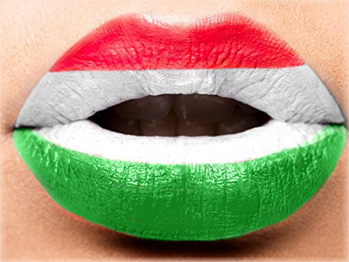 Haus und Deko Leinwand Bild Canvas Fußball Länderflaggen Foto ca. 30x40 cm Wandbild #1543 Ungarn