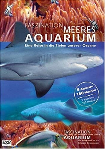 Faszination Meeres Aquarium