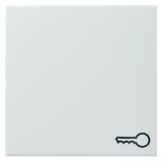 Gira Wippe Schlüssel rws 028727 matt System 55 Abdeckung/Bedienelement für Installationsschalterprogramme 4010337287278