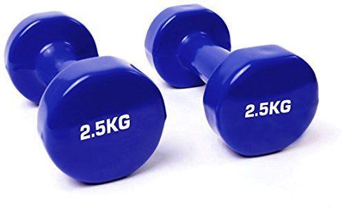 TNP Accessories Cast Iron Vinyl Lifting Dumbbell Training Set of Hand Weights Home Gym Exercise Pilates for Men or Women (Blue, 2.5Kg (Pair)