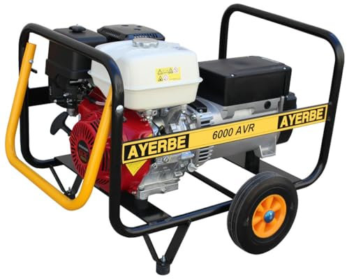 Ayerbe – Generatore regolazione Electronico ay-6000-avr Honda