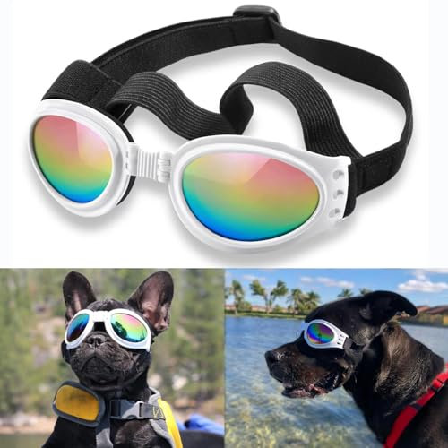 Qumy- Gafas de sol para perro resistentes al agua. Para perros de más de 7 kg.