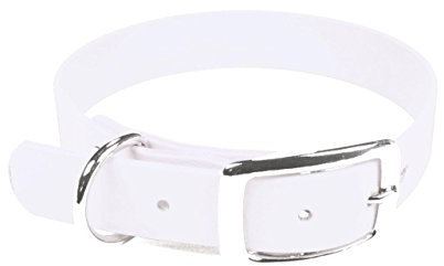 LENNIE BioThane Halsband, Dornschnalle, 25 mm breit, Größe 44-52 cm, Weiß, Aufdruck möglich