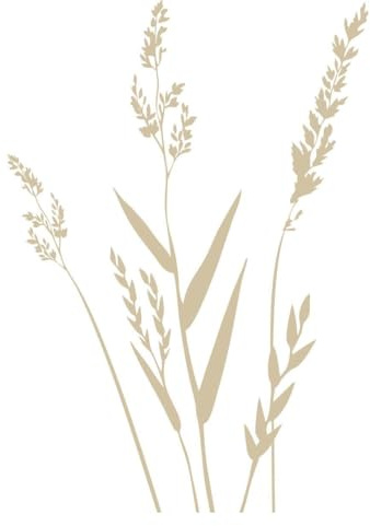 CLICKANDPRINT Aufkleber » Gräser, 60x42,2cm, Beige • Wandtattoo/Wandaufkleber/Wandsticker/Wanddeko/Vinyl