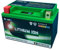 Skyrich HJTX9-FP batteria ricaricabile industriale Litio 12 V