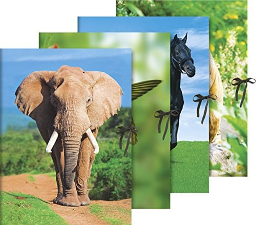 Brunnen 1047103 Sammelmappe (A3, Karton, mit Bändern, Tiermotive)