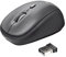 Trust Yvi Kabellose Optische Funkmaus, 2.4GHz, USB-Mikroempfänger, Rechts- und Linkshänder, 800/1600 DPI, Wireless Maus für PC, Laptop, MacBook - Schwarz
