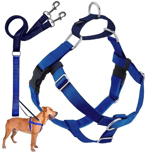 2 Hounds Design Freedom No-Pull Dog Harness with Leash, Medium, 1-Inch Wide, Royal Blue