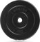 Gymtek® Hantelscheibe, 31 mm Gewichte, Gewichtsscheibe Hantelgewichte (5 kg)