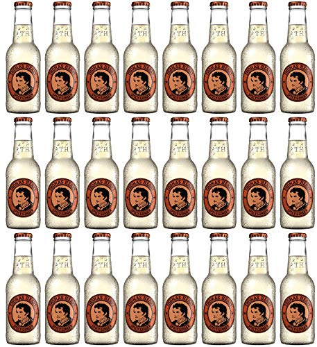 Thomas Henry Spicy Ginger 24 x 0,2 Liter