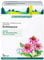 Schoenenberger - Echinacea naturreiner Heilpflanzensaft - 3x 200 ml Glasflasche - stärkt die Abwehrkräfte - freiverkäufliches Arzneimittel