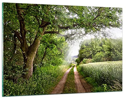 Wandbilder Dekoration Wohnzimmer Pfad Natur Wald Grün Bilder auf Glas 120x80cm Glasbild Schlafzimmer Küche Deko Wand Kunstdruck Art Groß XXL Wanddeko Bild im Glas Modern Wall Decor GAA120x80-2637