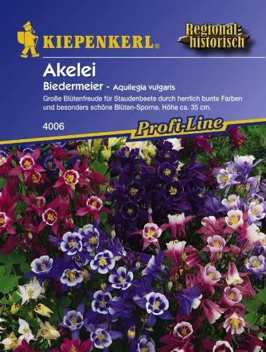 Akelei, 'Biedermeier'