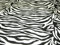 OD Baumwollstoff, Druck mit Zebra-Muster, Meterware, ca. 114 cm breit