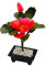 Begriff Natürliche Jade Bonsai Stein Rose Blume Pflanze für Chance, frei w fengshuisale rot String Armband J2090