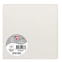 Clairefontaine 11877C Packung (mit 25 Karten Pollen, 135 x 135 mm) 210g, Hellgrau