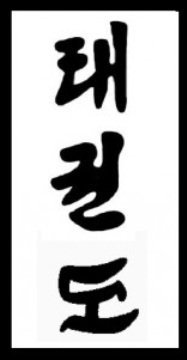 Budodrake Taekwondo Schriftzeichen Aufnäher (weiß)
