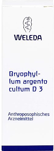 Bryophyllum Argento cultum D3 WELEDA Dil., 50 ml Lösung
