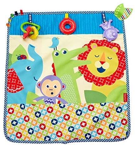 Fisher Price DYW52 Kleine Tierfreunde-Spieldecke, mehrfarbig