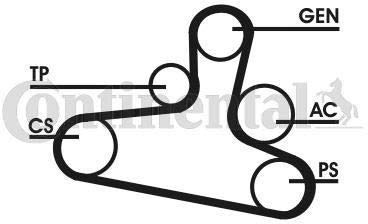 CONTITECH 6DPK1195D1 V-Ribbed Belt Kit