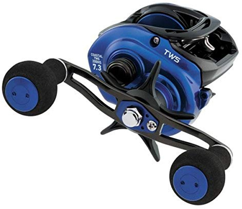 Daiwa Coastal TW Casting Reel