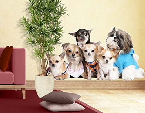 Apalis Wandtattoo No.277 Chihuahuas and a Shi 90x50cm Wandsticker Kinderzimmer Hunde, Größe:50cm x 90cm