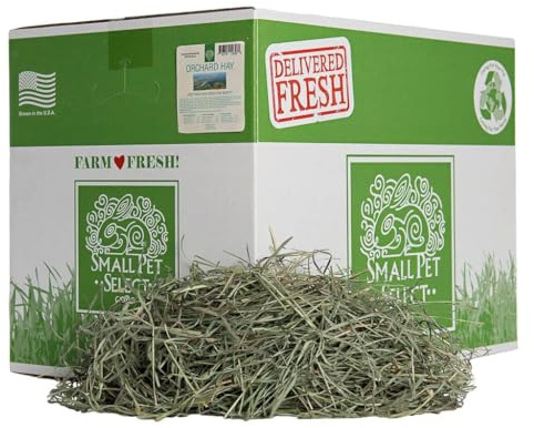 Small Pet Select Orchard Grass Hay Pet Food for Rabbits, Guinea Pigs, Chinchillas and Other Small Animals, Premium Natural Hay Grown in The US, 20lb (9.07kgs)