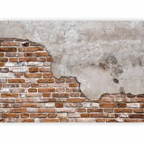 Fotomurales B&D XXL - 350x256 cm XXL Papel pintado tejido no tejido Decoración de Pared decorativos Murales moderna de Diseno Fotográfico Ladrillo Concreto f-B-0083-a-d